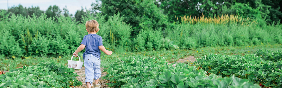 Coping With Climate Change: A Big Picture and Kid-Friendly Approach